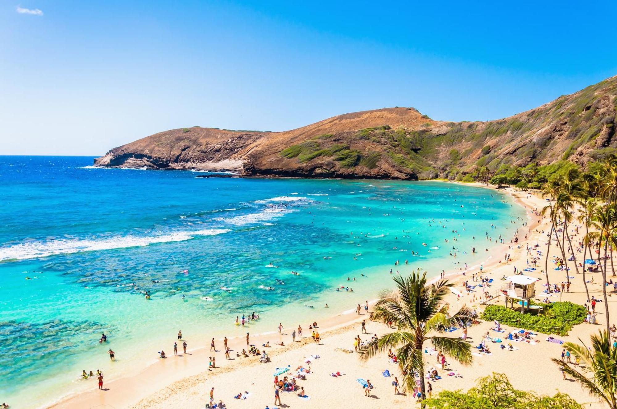 Escape To Mountain View Condo,near With Parking Honolulu